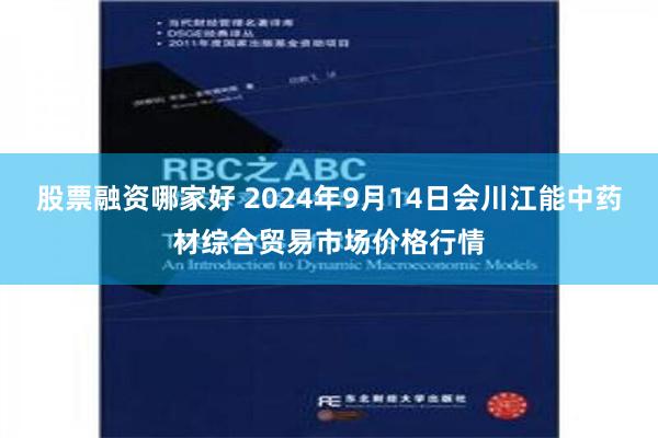 股票融资哪家好 2024年9月14日会川江能中药材综合贸易市场价格行情