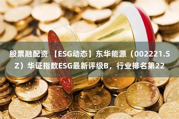 股票融配资 【ESG动态】东华能源（002221.SZ）华证指数ESG最新评级B，行业排名第22