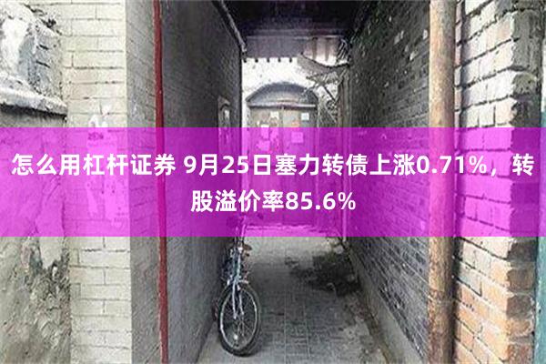 怎么用杠杆证券 9月25日塞力转债上涨0.71%，转股溢价率85.6%