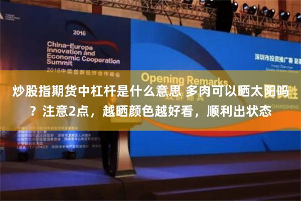 炒股指期货中杠杆是什么意思 多肉可以晒太阳吗？注意2点，越晒颜色越好看，顺利出状态