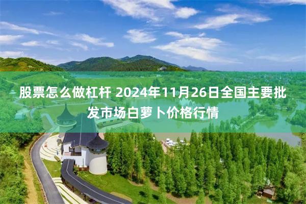 股票怎么做杠杆 2024年11月26日全国主要批发市场白萝卜价格行情