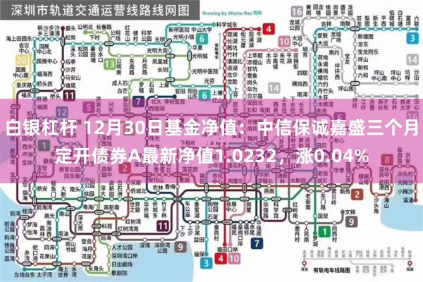 白银杠杆 12月30日基金净值：中信保诚嘉盛三个月定开债券A最新净值1.0232，涨0.04%