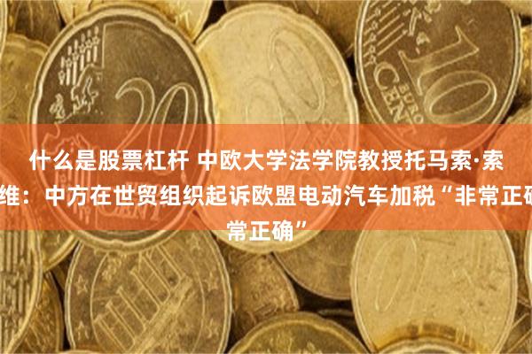 什么是股票杠杆 中欧大学法学院教授托马索·索阿维：中方在世贸组织起诉欧盟电动汽车加税“非常正确”