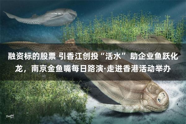 融资标的股票 引香江创投“活水” 助企业鱼跃化龙，南京金鱼嘴每日路演·走进香港活动举办