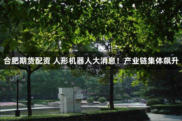 合肥期货配资 人形机器人大消息！产业链集体飙升