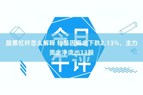 股票杠杆怎么解释 转基因概念下跌2.13%，主力资金净流出13股